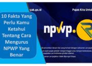 Cara Mengurus NPWP: Panduan Lengkap untuk Warga Indonesia