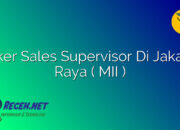 Loker Sales Supervisor Di Jakarta Raya ( MII )