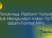 Tiktokmp4: Platform Terbaik untuk Mengunduh Video TikTok dalam Format MP4