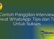 Contoh Panggilan Interview Lewat WhatsApp: Tips dan Trik Untuk Sukses Contoh Panggilan Interview Lewat WhatsApp: Tips dan Trik Untuk Sukses